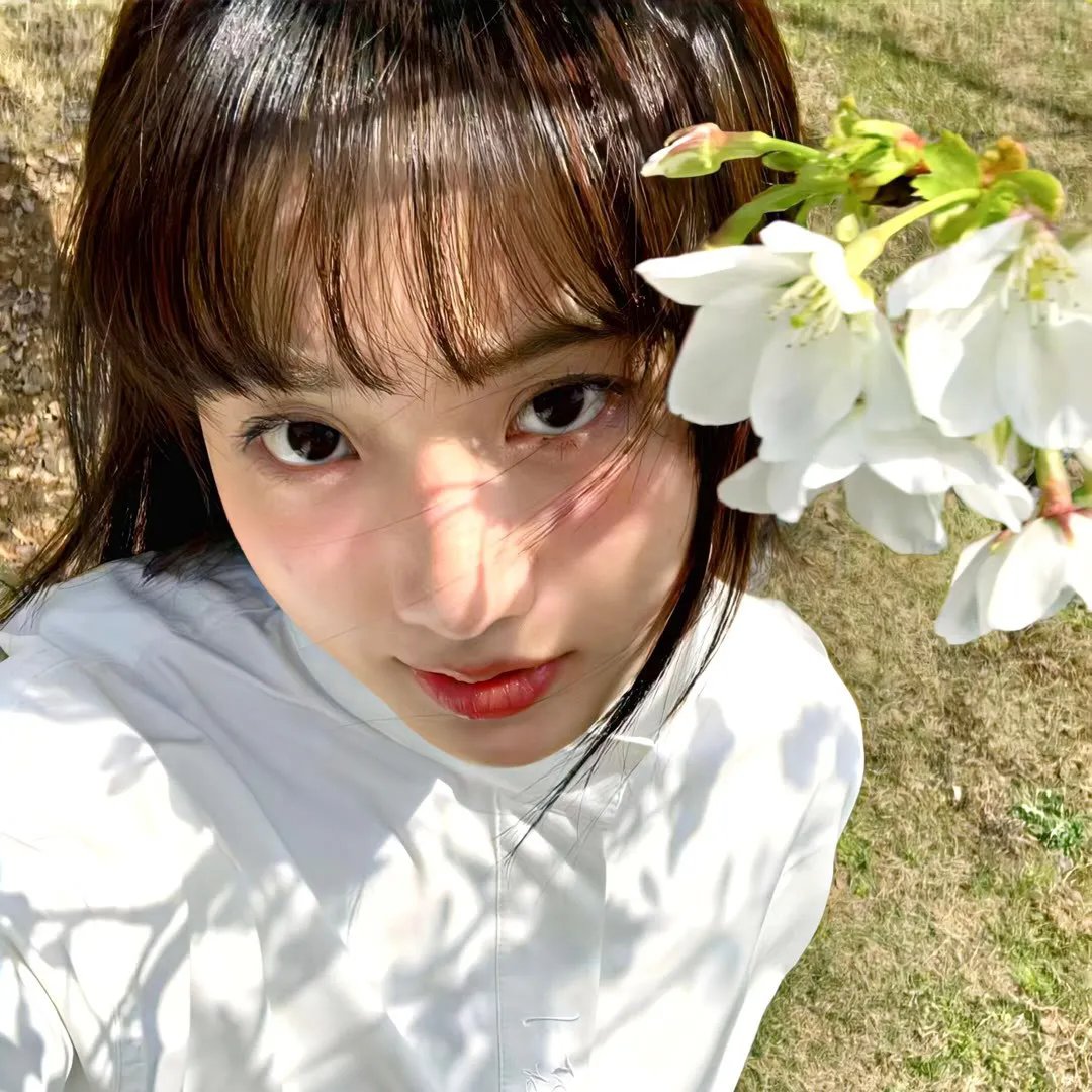 春笑柳花