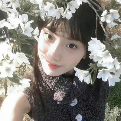 美人镖局